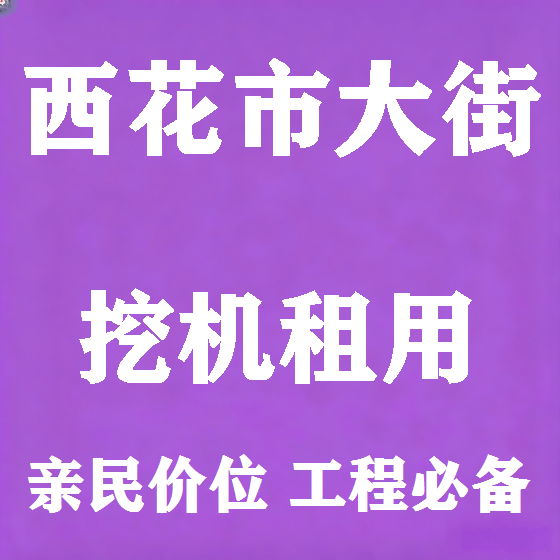 北京西花市大街挖机租赁图