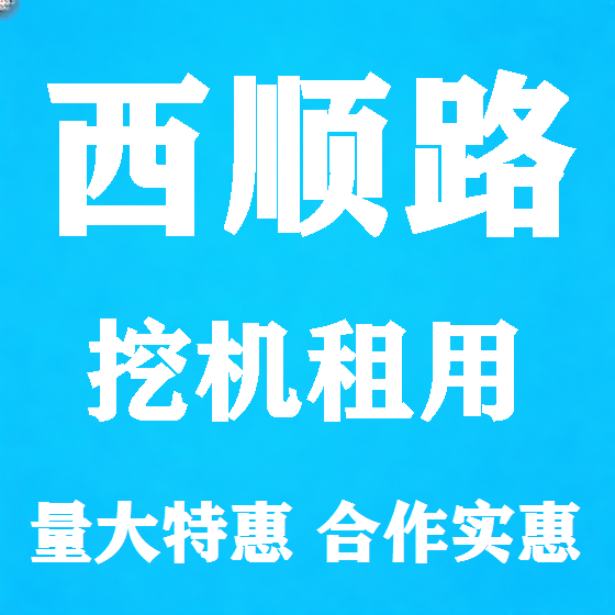 北京西顺路挖机租赁图