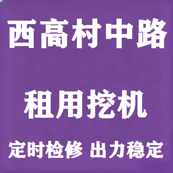 北京西高村中路挖机租赁图