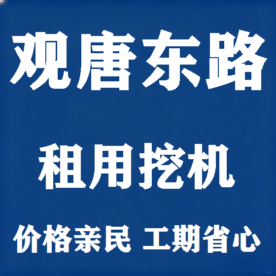 北京观唐东路挖机租赁图