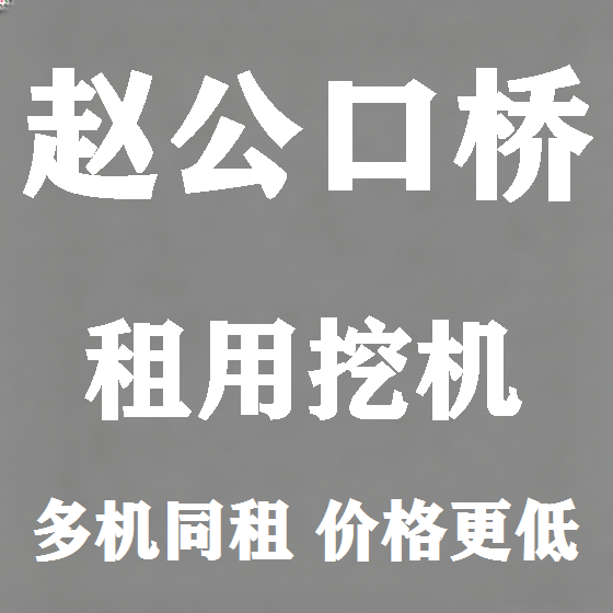 北京赵公口桥挖机租赁图
