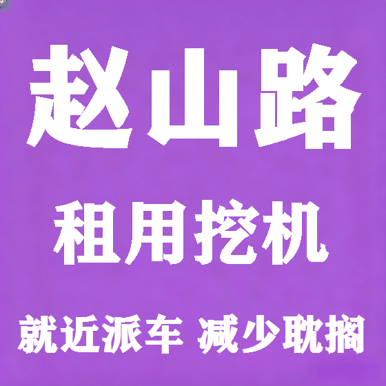 北京赵山路挖机租赁图