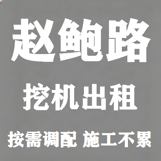 北京赵鲍路挖机租赁图