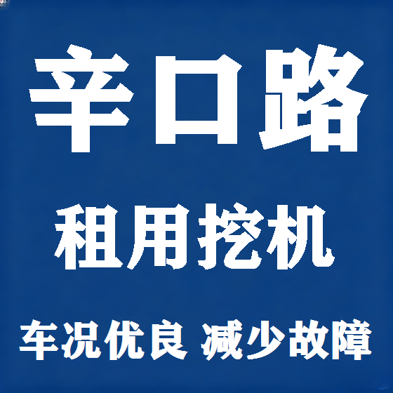 北京辛口路挖机租赁图