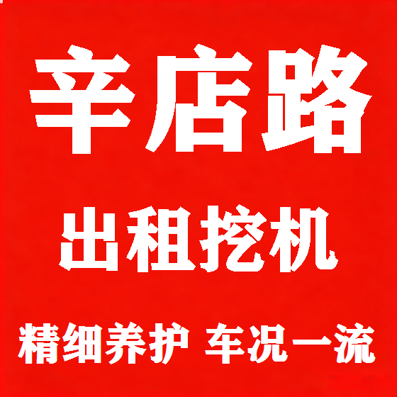 北京辛店路挖机租赁图