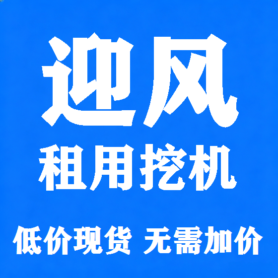 北京迎风挖机租赁图