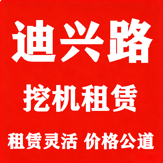 北京迪兴路挖机租赁图