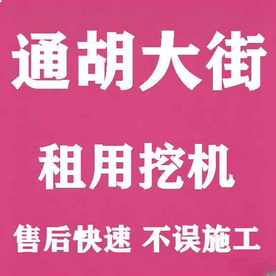 北京通胡大街挖机租赁图