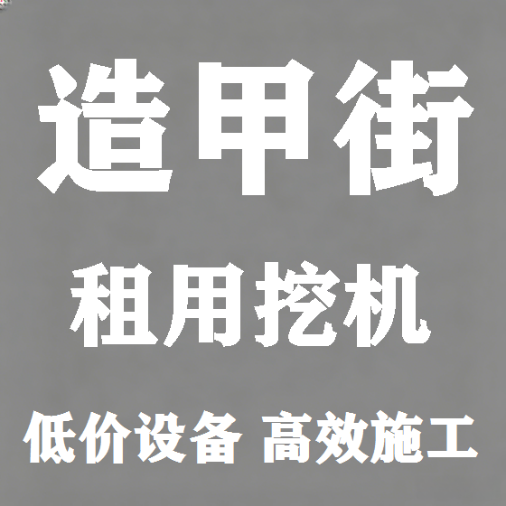 北京造甲街挖机租赁图