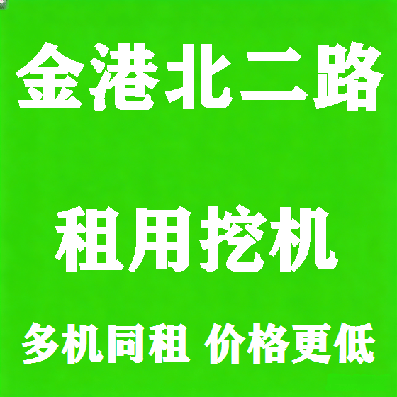 北京金港北二路挖机租赁图