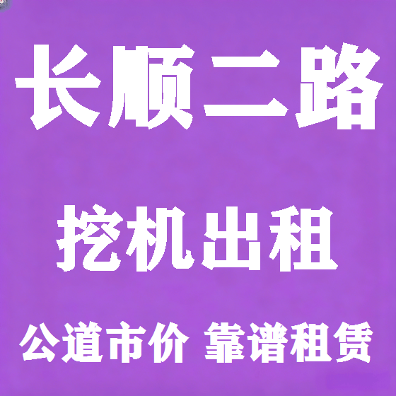 北京长顺二路挖机租赁图
