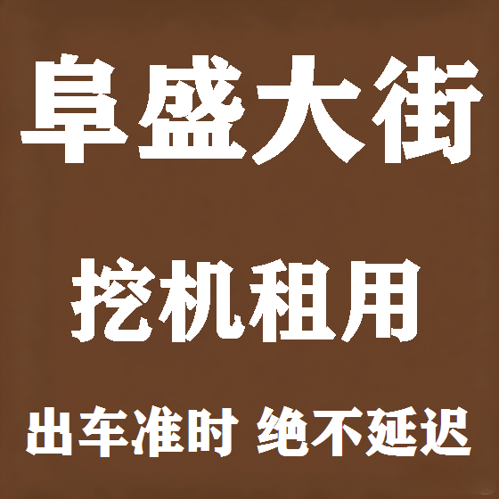 北京阜盛大街挖机租赁图