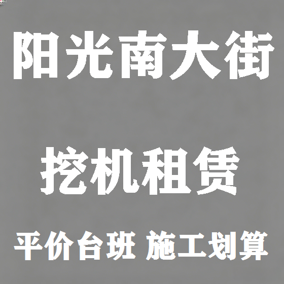 北京阳光南大街挖机租赁图