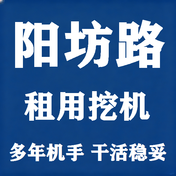 北京阳坊路挖机租赁图