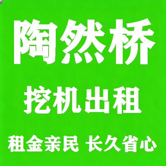 北京陶然桥挖机租赁图