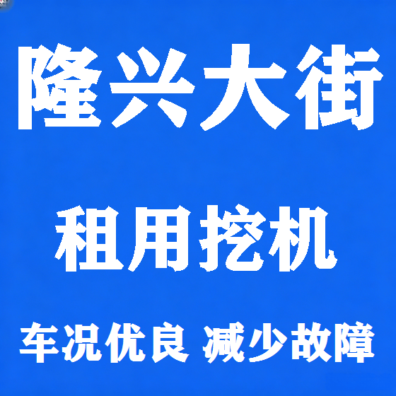 北京隆兴大街挖机租赁图