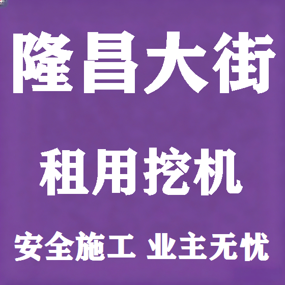 北京隆昌大街挖机租赁图