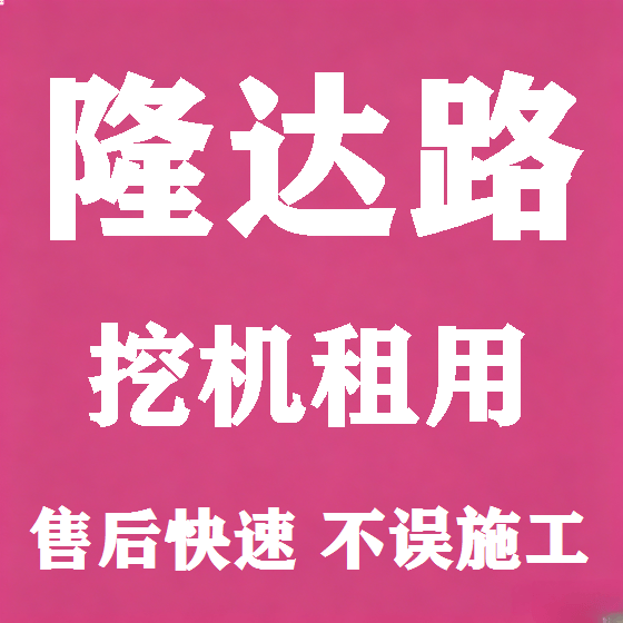 北京隆达路挖机租赁图