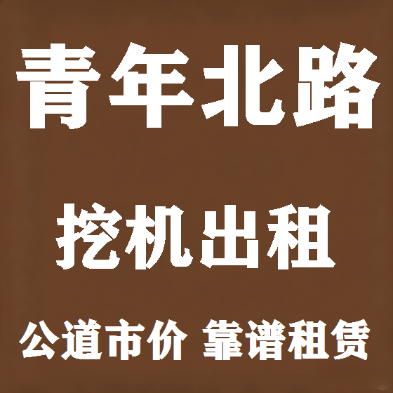 北京青年北路挖机租赁图