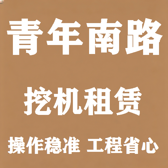 北京青年南路挖机租赁图