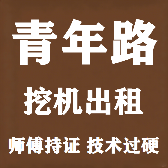北京青年路挖机租赁图