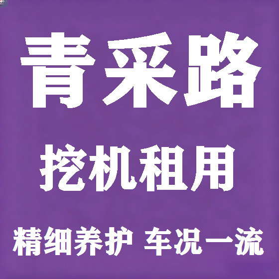 北京青采路挖机租赁图