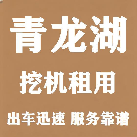 北京青龙湖挖机租赁图