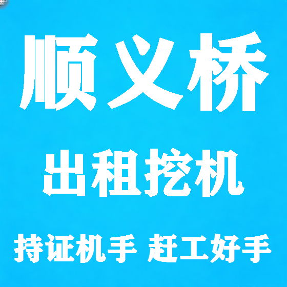 北京顺义桥挖机租赁图