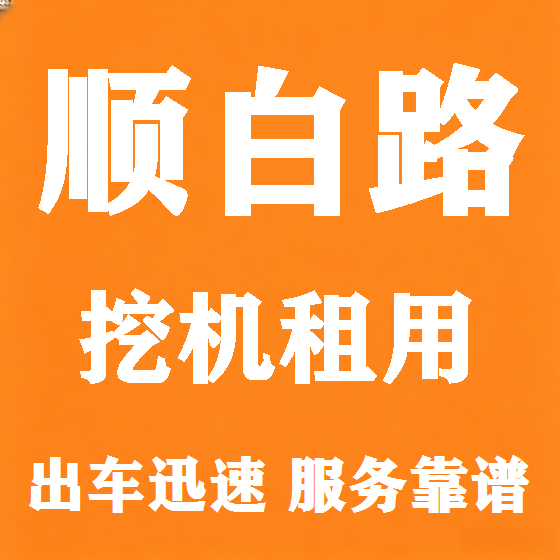 北京顺白路挖机租赁图