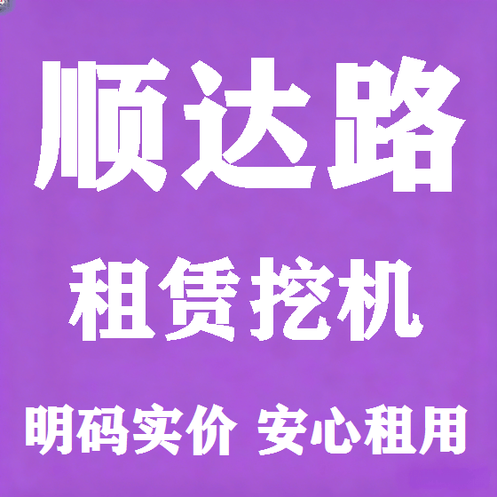 北京顺达路挖机租赁图