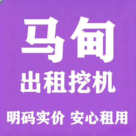 北京马甸挖机租赁图