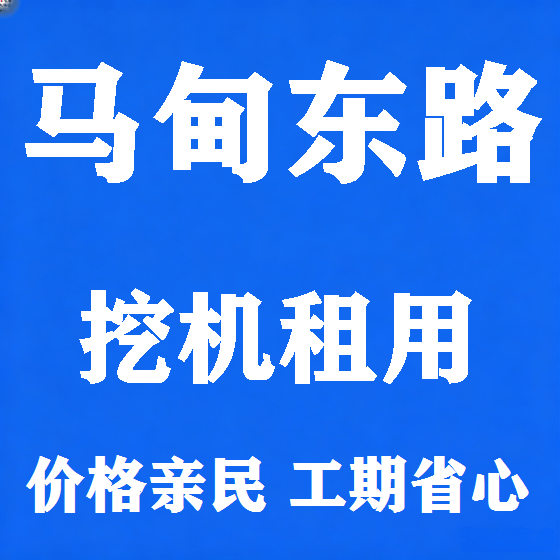 北京马甸东路挖机租赁图