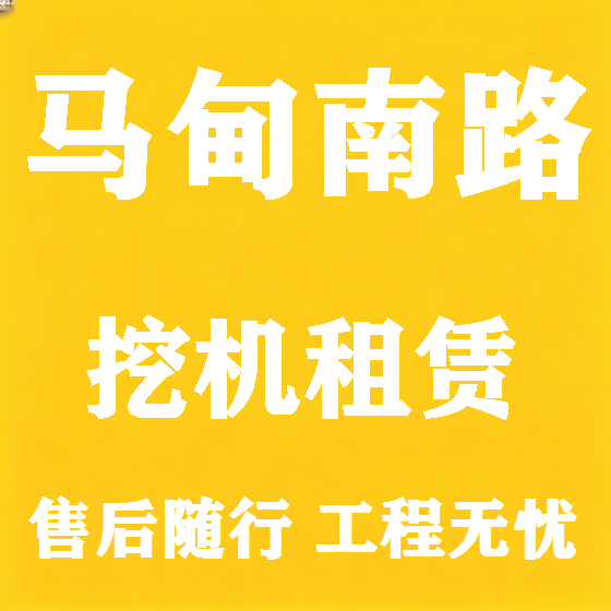 北京马甸南路挖机租赁图