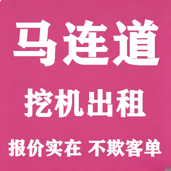 北京马连道挖机租赁图