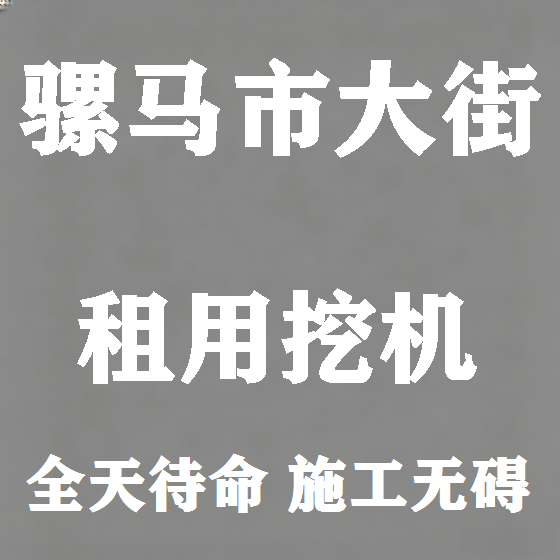 北京骡马市大街挖机租赁图