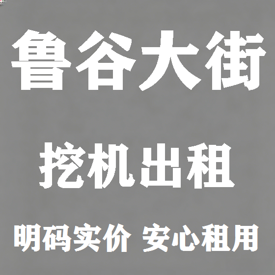 北京鲁谷大街挖机租赁图
