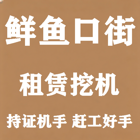 北京鲜鱼口街挖机租赁图
