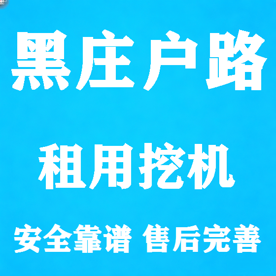 北京黑庄户路挖机租赁图