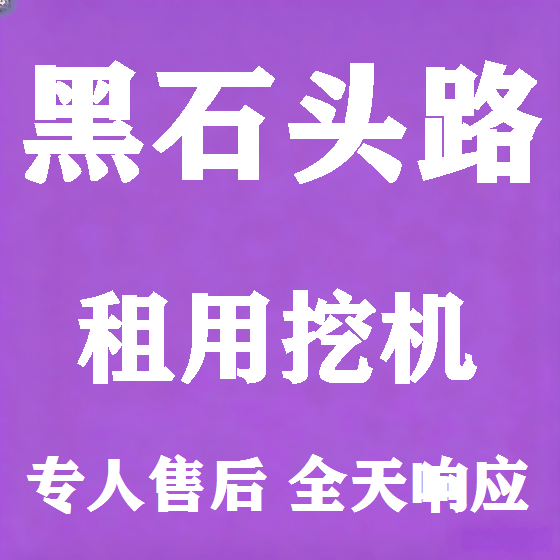 北京黑石头路挖机租赁图
