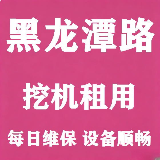北京黑龙潭路挖机租赁图