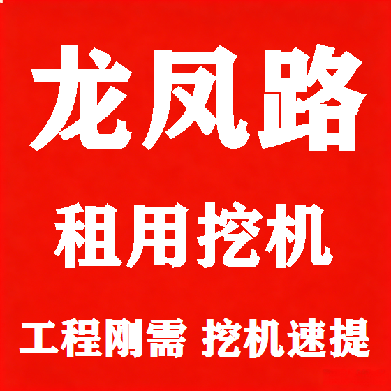 北京龙凤路挖机租赁图