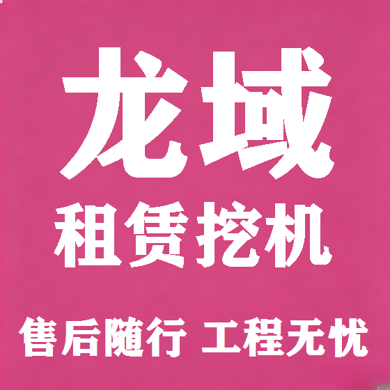 北京龙域挖机租赁图