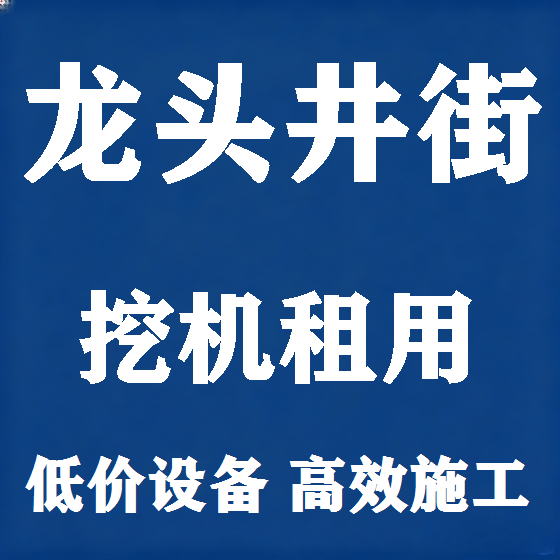 北京龙头井街挖机租赁图