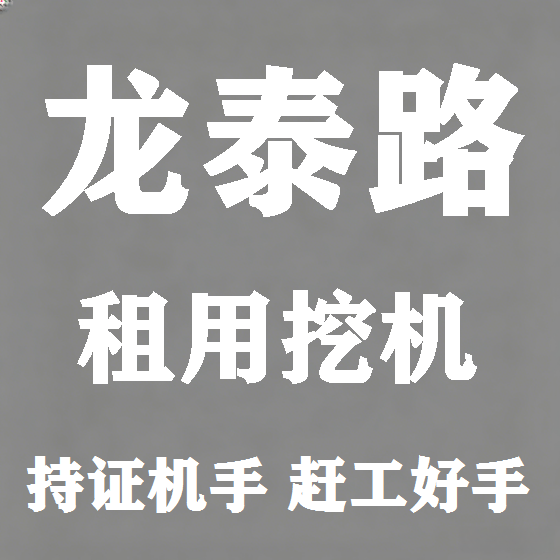 北京龙泰路挖机租赁图