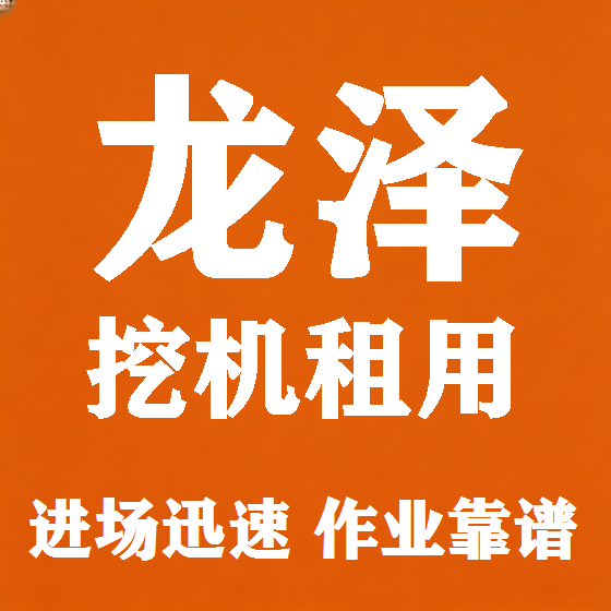 北京龙泽挖机租赁图