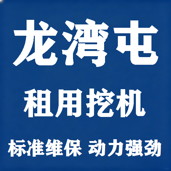 北京龙湾屯挖机租赁图