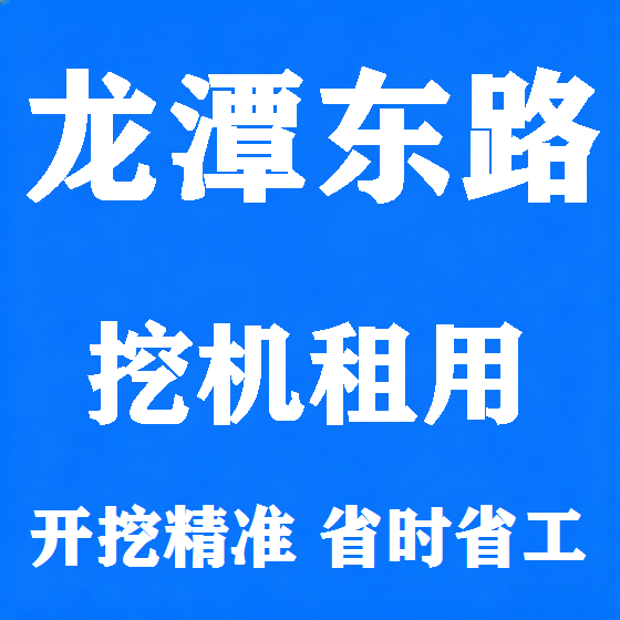 北京龙潭东路挖机租赁图