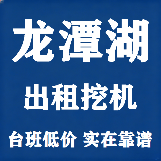 北京龙潭湖挖机租赁图