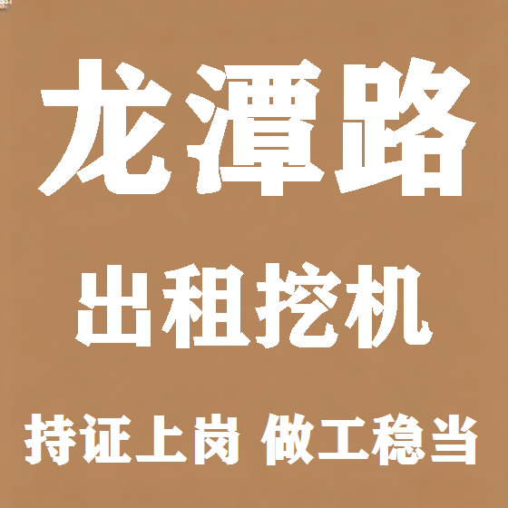 北京龙潭路挖机租赁图