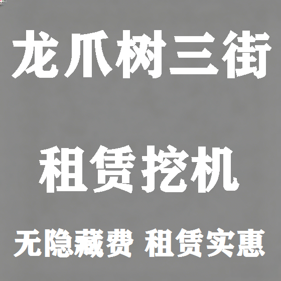 北京龙爪树三街挖机租赁图